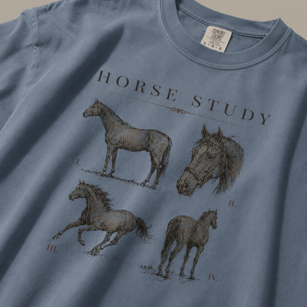 Horse Study